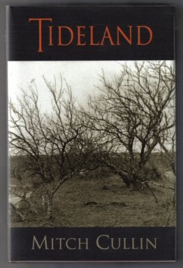 Tideland - 1st Edition/1st Printing. Mitch Cullin.