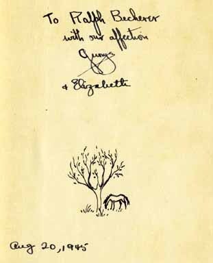 Like The Root