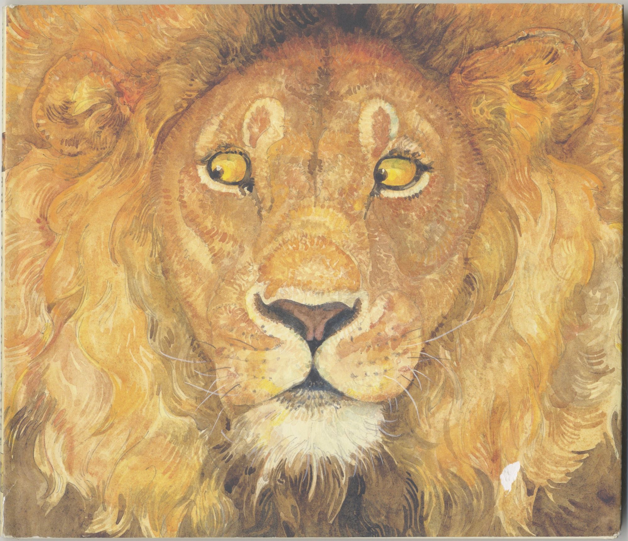 Book #27479 The Lion & The Mouse First Edition/first Printing. Jerry Pinkney.