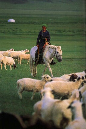 In Search of Genghis Khan