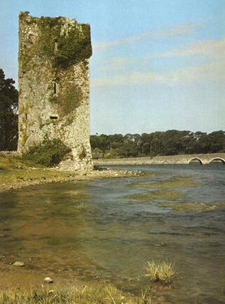 The Houses of Ireland: Domestic Architecture from the Medieval Castle to the Edwardian Villa